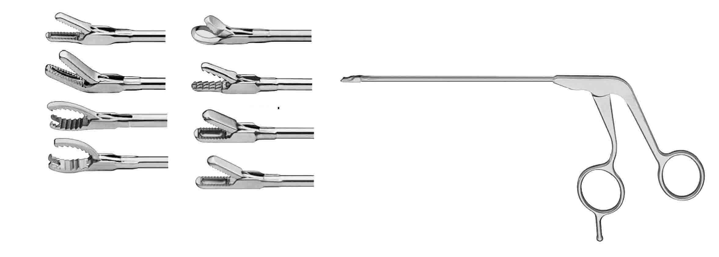 SİLGRASP PANÇ 13 CM